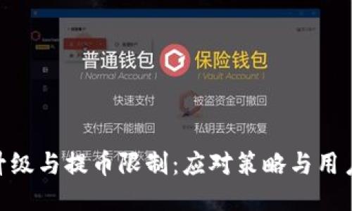 OKB钱包升级与提币限制：应对策略与用户体验分享