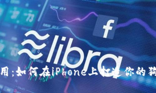 安全又实用：如何在iPhone上打造你的狗狗币钱包