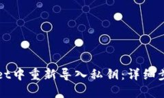 如何在TPWallet中重新导入私钥：详细步骤与实用技