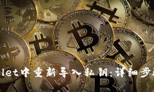 如何在TPWallet中重新导入私钥：详细步骤与实用技巧
