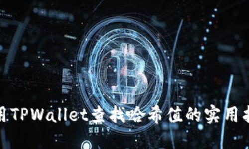 使用TPWallet查找哈希值的实用指南