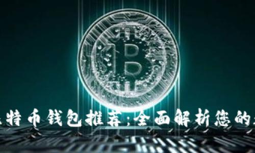最安全可靠的比特币钱包推荐：全面解析您的数字财富守护者