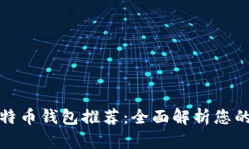 最安全可靠的比特币钱包推荐：全面解析您的数字财富守护者