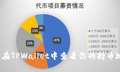 如何在TPWallet中查看你的持币地址？