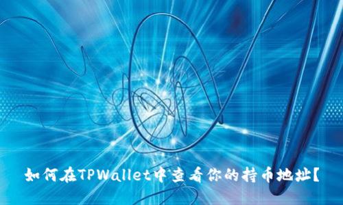 如何在TPWallet中查看你的持币地址？