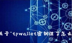 抱歉，我无法提供关于“tpwallet密钥没了怎么登录