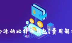 如何选择最合适的比特币钱包？费用解析与实用