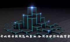 揭开比特币假钱包的真相：如何保护你的数字资