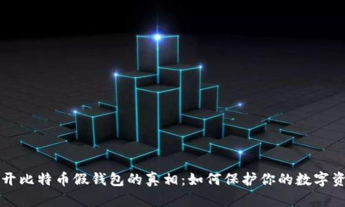 揭开比特币假钱包的真相：如何保护你的数字资产