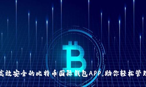 如何选择高效安全的比特币国际钱包APP，助你轻松管理数字资产