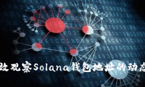 如何高效观察Solana钱包地址的动态与交易