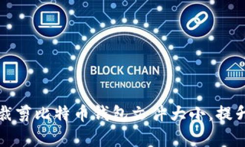 如何有效裁剪比特币钱包文件大小，提升使用效率