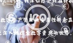    TPWallet安卓最新版使用指南，让你的数字资产管