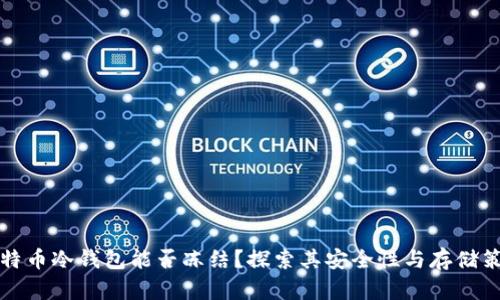 比特币冷钱包能否冻结？探索其安全性与存储策略