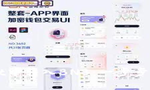 如何在TPWallet中转入BNB：一步步指南与实用技巧