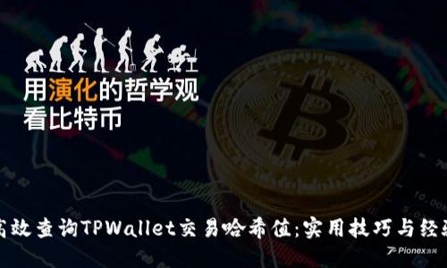 如何高效查询TPWallet交易哈希值：实用技巧与经验分享