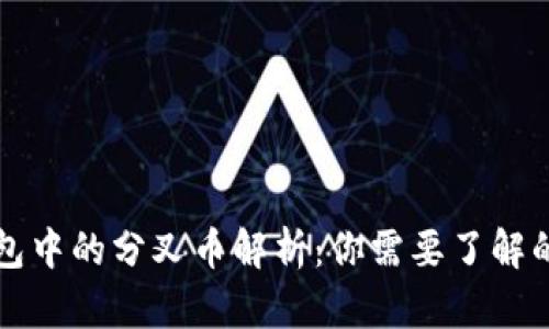 比特币钱包中的分叉币解析:你需要了解的实用信息