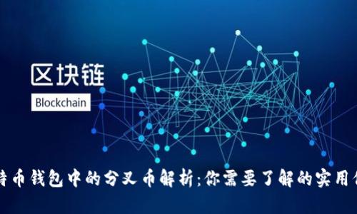比特币钱包中的分叉币解析:你需要了解的实用信息