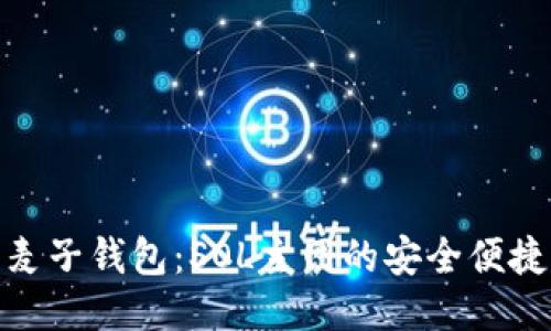 探索麦子钱包：SOL主网的安全便捷之选