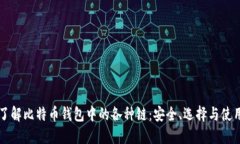 深入了解比特币钱包中的各种链：安全、选择与