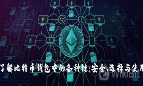 深入了解比特币钱包中的各种链：安全、选择与使用指南