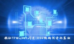 揭秘TPWallet闪兑：USD跑向何方的真相