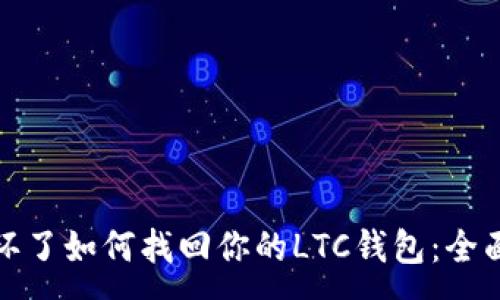 :
硬盘环了如何找回你的LTC钱包：全面指南