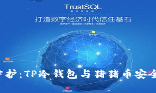  完美守护：TP冷钱包与猪猪币安全性解析