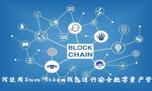 如何使用Sum Token钱包进行安全数字资产管理