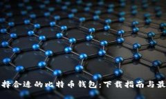 如何选择合适的比特币钱包：下载指南与最佳实