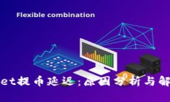 TPWallet提币延迟：原因分析与解决策略