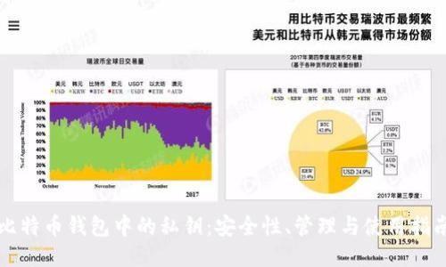 比特币钱包中的私钥：安全性、管理与使用指南