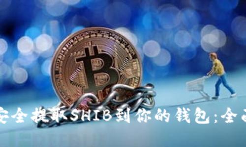 如何安全提取SHIB到你的钱包：全面指南
