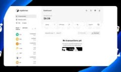   TPWallet 激活指南：轻松开