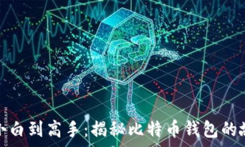   
从小白到高手：揭秘比特币钱包的故事