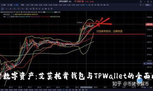 探索数字资产：艾莫托肯钱包与TPWallet的全面比较