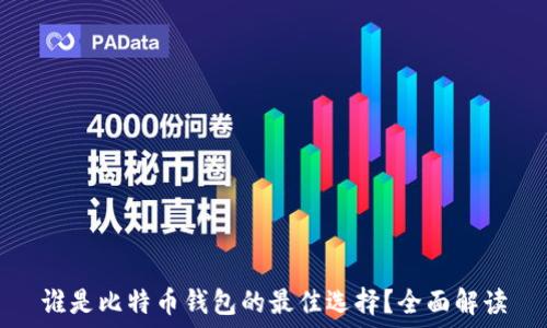   
谁是比特币钱包的最佳选择？全面解读