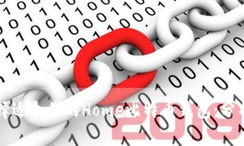 如何选择适合你的Home比特币钱包：分析与推荐