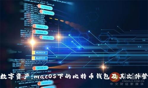 保护你的数字资产：macOS下的比特币钱包及其文件管理全攻略