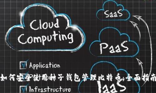 如何安全使用种子钱包管理比特币：全面指南