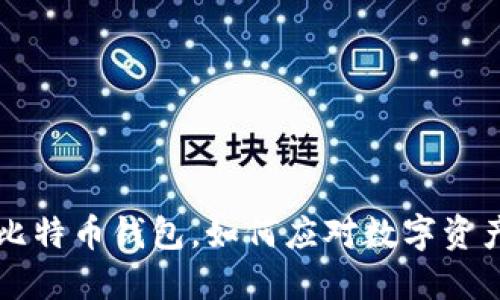 成都人丢了比特币钱包，如何应对数字资产损失的挑战