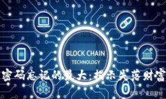 比特币密码忘记的最大：揭示失落财富的秘密